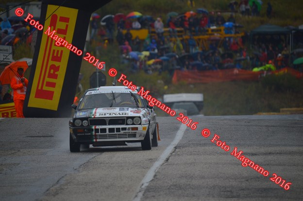 DSC_8766.JPG